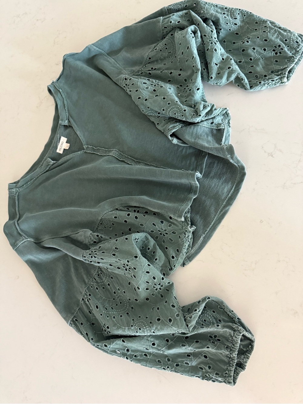 PILCRO for Anthropologie - Eyelet Long-Sleeve Cropped Top in Sage Green